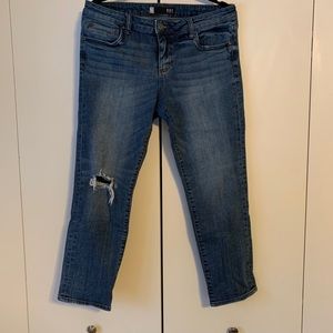Kut from the Kloth women’s ankle jean